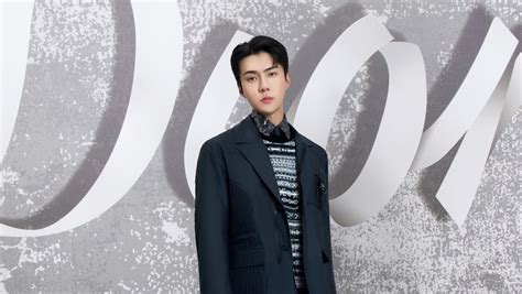 dior global ambassador sehun|dior in seoul 2022.